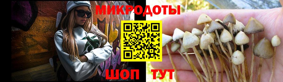 Галлюциногенные грибы GOLDEN TEACHER Нурлат